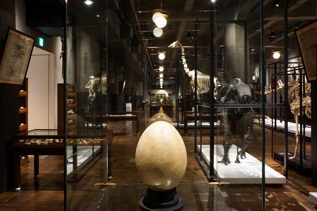 INTERMEDIATHEQUE
