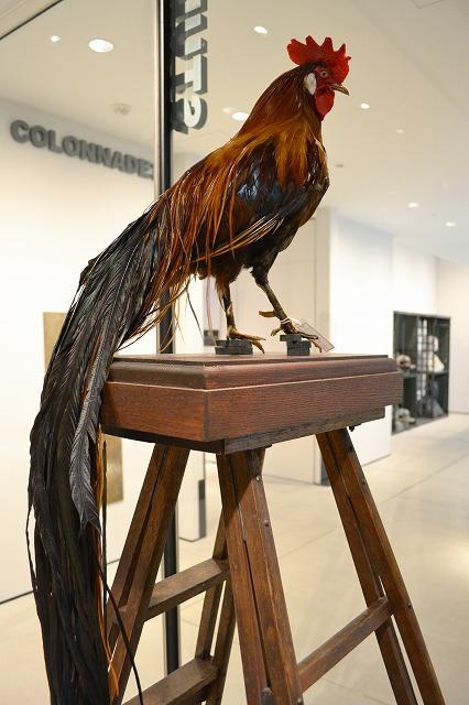 INTERMEDIATHEQUE